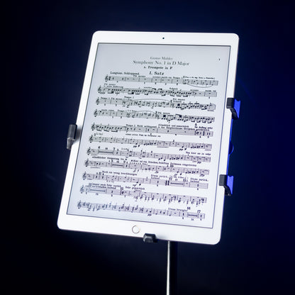 Refurbished iPad Pro 2  | 12,9"